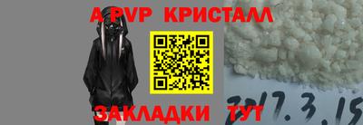 шишки Донской