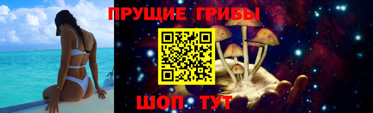 Псилоцибиновые грибы MAGIC MUSHROOMS  закладка  Псилоцибиновые грибы Cubensis  Мелеуз  Вход с VPN 
